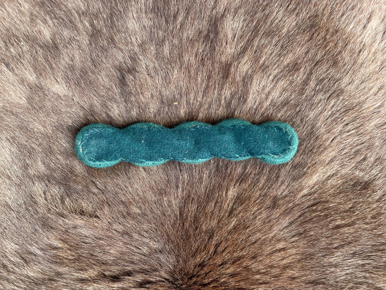 WhatsApp Image 2025-05-22 at 1.52.03 PM (1)